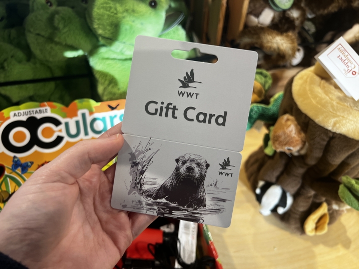 A WWT Gift card being held up in the WWT Martin Mere gift shop